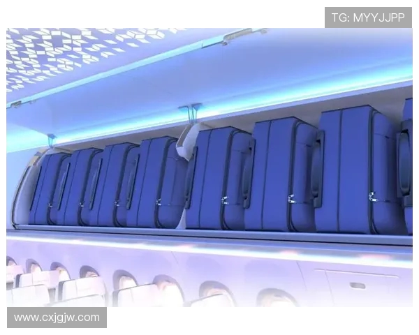 飞机客舱座椅扶手的多功能模块化